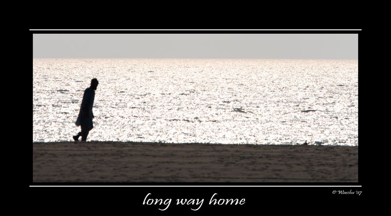 Long Way Home.jpg